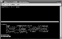 splitvt snapshot